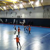 Kiroldegiko beheko pistaren erabilera egokirako baldintzak zehazteko bilera