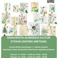 Erakusketa: 'Landare itsutasuna'