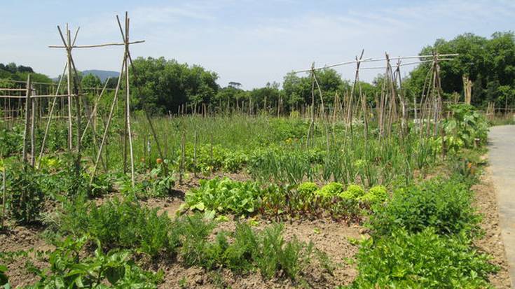 Produktu fitosanitarioen aplikatzaile ikastaroan izena emateko epea zabalik