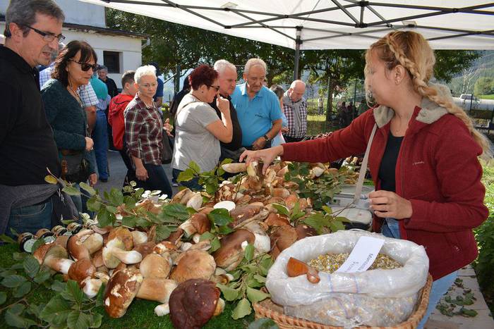 Usadioari jarraituz, ganadu feria egingo dute ostiralean Elosuan