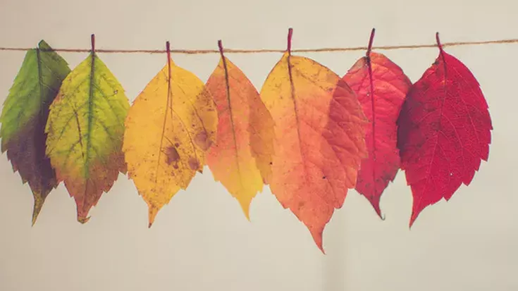 'Udazken koloreak Zarautzen' argazki lehiaketa antolatu dute