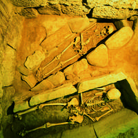Santa Maria la Real Arkeologia eta monumentu multzoaren lurpeko aztarnategira bisita