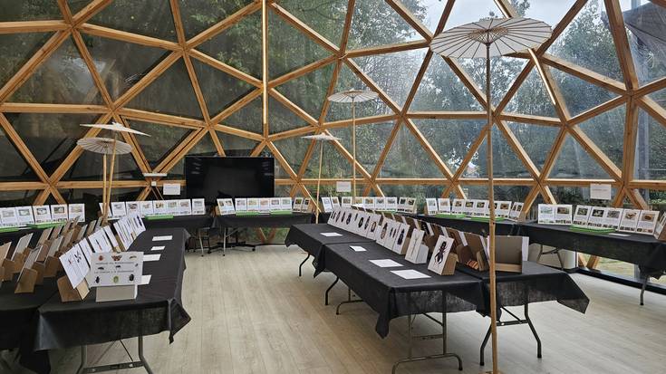 ZAINDU DITZAGUN TXIMELETAK! – ERAKUSKETA BASO MAGIKOAN