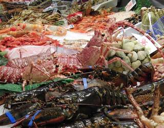 Floreaga ikastetxeak dohaintzan eman ditu Gabonetako zozketako sariak