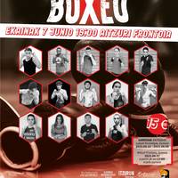 Boxeo jaialdia