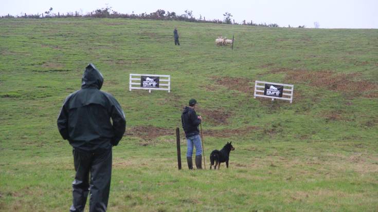 'Gure Sheepdog Trial' txapelketa egingo dute ekainaren 15ean eta 16an