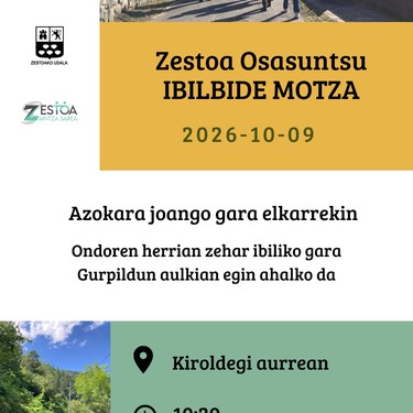 Zestoa Osasuntsu