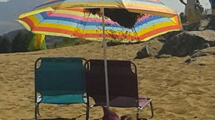 Erleek ere  itzala nahiago