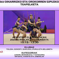 Gimnastika Erritmikoko Gipuzkoako Txapelketa