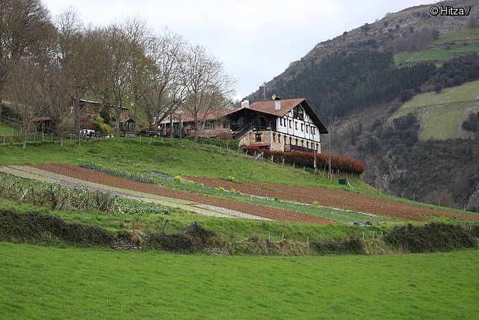 Zelaiak berde, baratzeak gorri