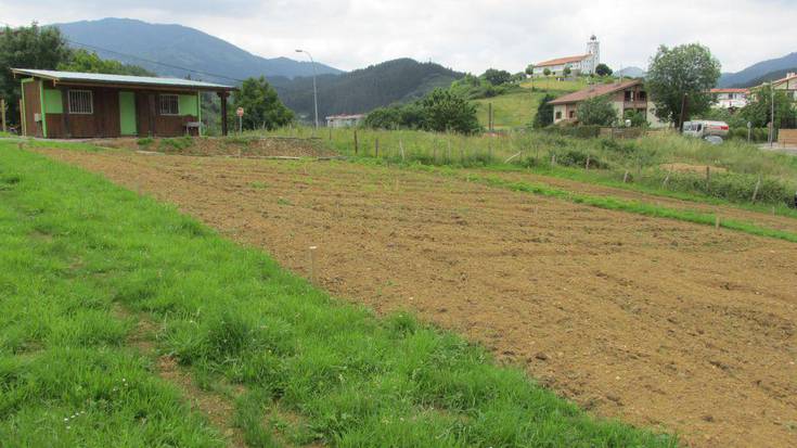 Osatu da baratze ekologikoetarako lehen deialdiko 45 herritarren behin betiko zerrenda