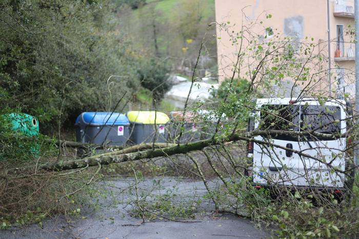 Luizi txiki bat izan da Jadarre auzoan