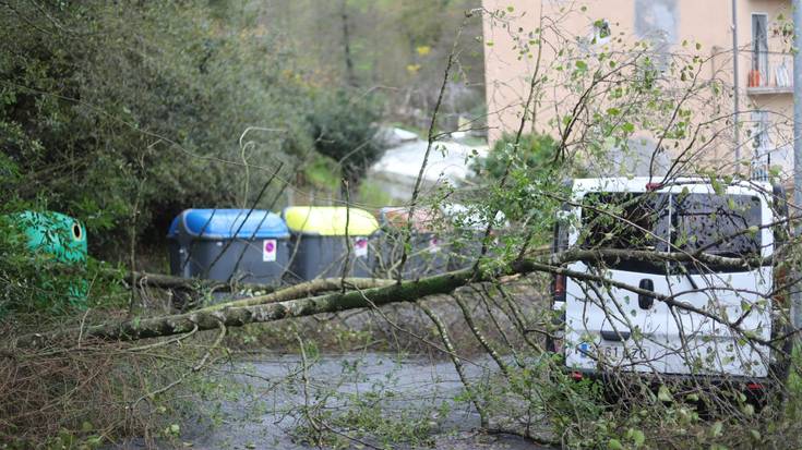 Luizi txiki bat izan da Jadarre auzoan
