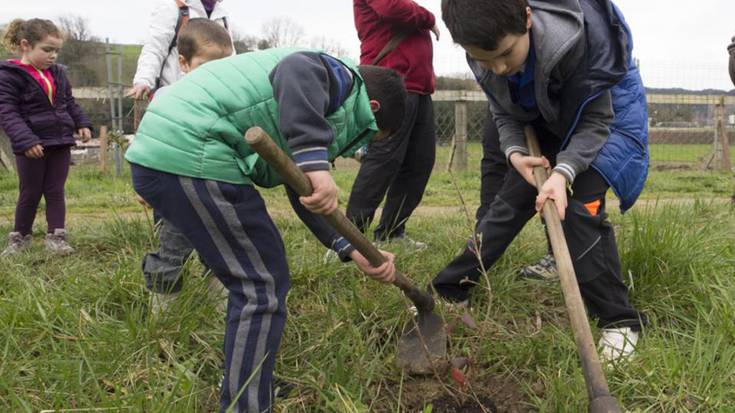 150 zuhaitz gazte aldatu dira Basadizarren