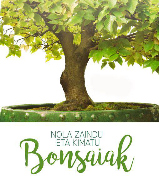 Bonsaiak kimatzeko eta zaintzeko ikastaroa eskainiko dute zapatuan Kimu Bat Gardenen