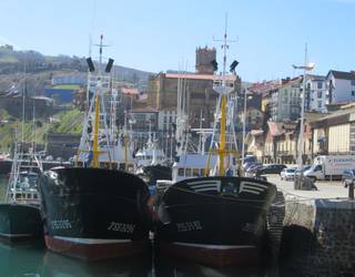 Lehorrean geratu da gaur arrantzako flota, kontrol arau berriei desadostasuna erakusteko