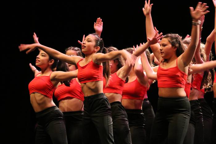 Dantza ikuskizuna eskainiko du ostiralean Azkoitiko Born to Dance dantza eskolak