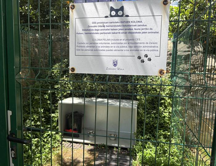 Zarauzko Udala CES metodoa erabiltzen ari da kaleko katuen ongizatea hobetzeko