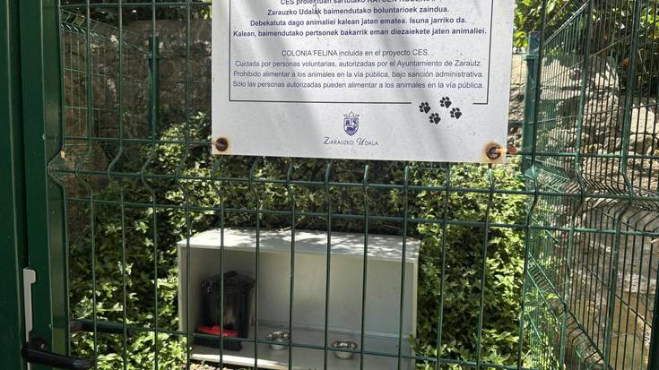 Zarauzko Udala CES metodoa erabiltzen ari da kaleko katuen ongizatea hobetzeko