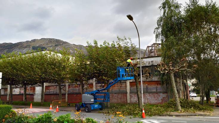 Brigadako langileak herriko zuhaitzak kimatzen hasi dira