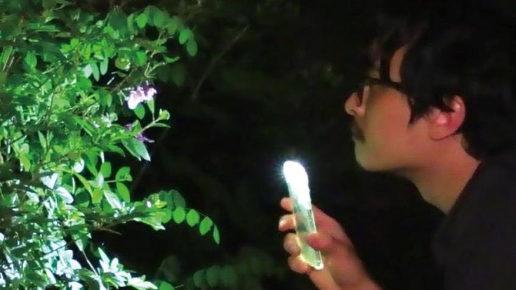 Zineforum: '¿Qué te dice esa naturaleza?'