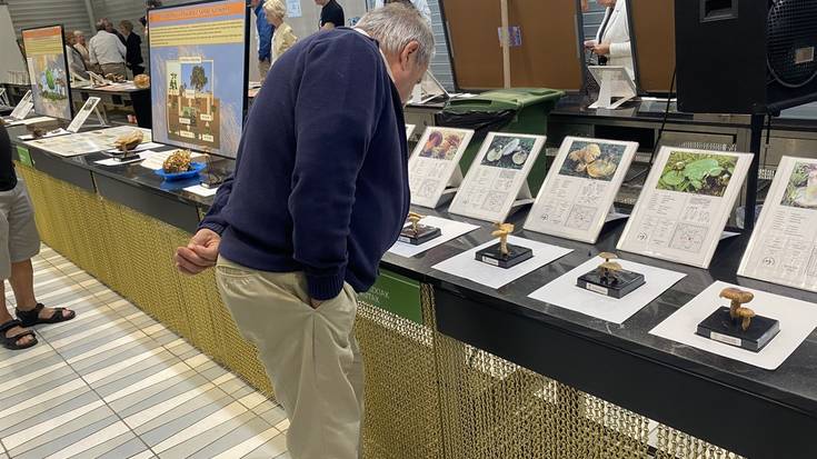 Onddo erakusketa, Natur Astea amaitzeko