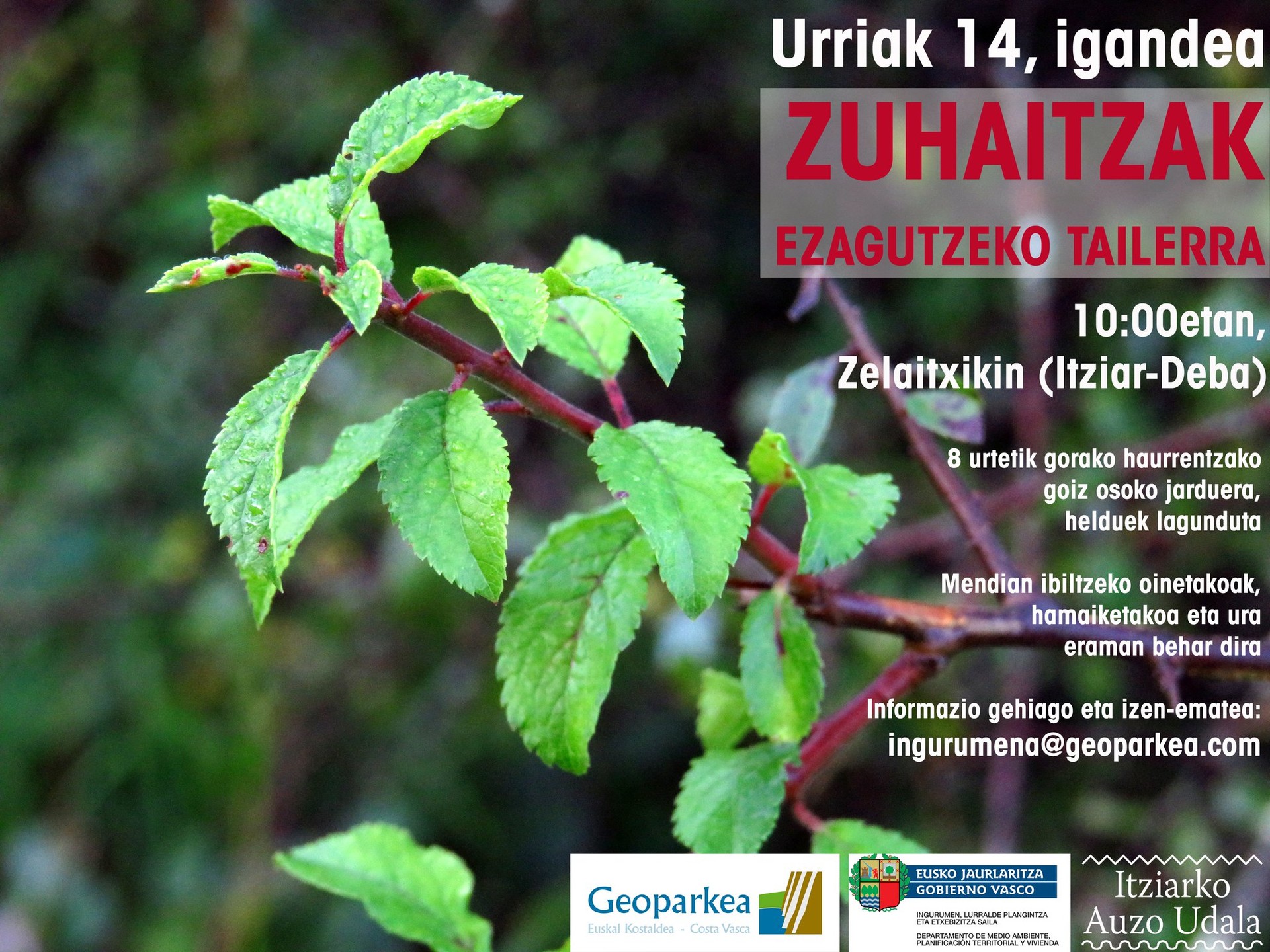 Zuhaitzak ezagutzeko tailerra antolatu du Geoparkeak