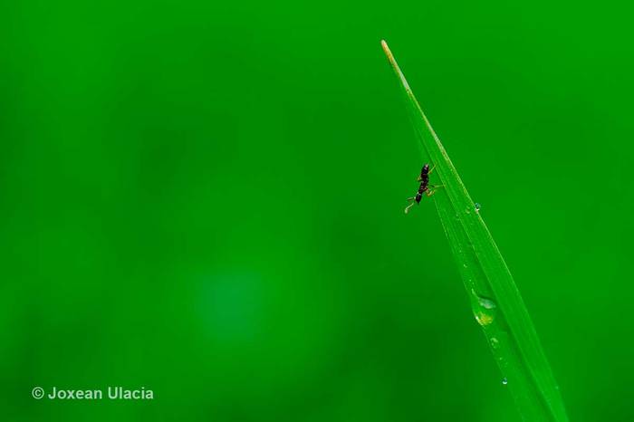 Joxean Ulaziaren 'Inurria' irudiak irabazi du otsaileko 12x12 lehiaketa