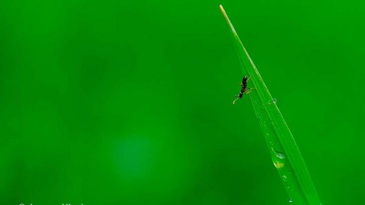 Joxean Ulaziaren 'Inurria' irudiak irabazi du otsaileko 12x12 lehiaketa