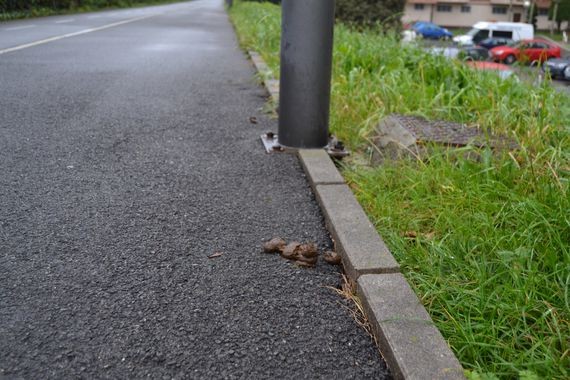 Kexak, axolagabekeriaren aurrean