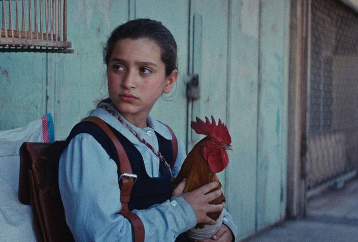 'Ninja a cuadros', 'Los miserables. El origen' eta 'The president's cake' filmak ikusgai Baztartxon