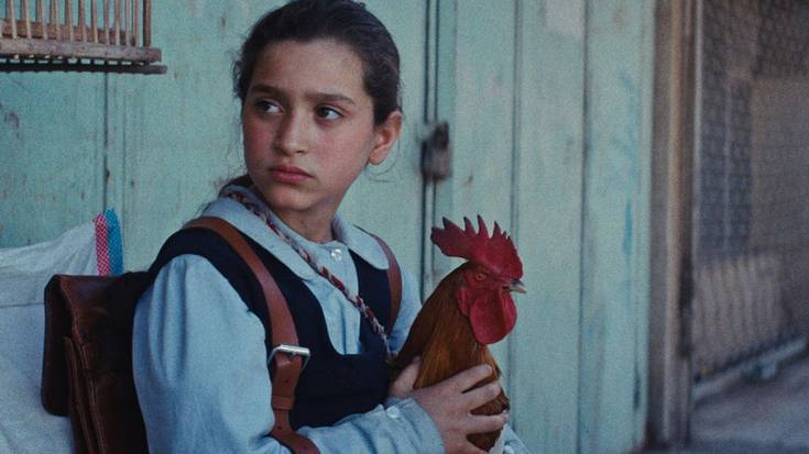 'Ninja a cuadros', 'Los miserables. El origen' eta 'The president's cake' filmak ikusgai Baztartxon