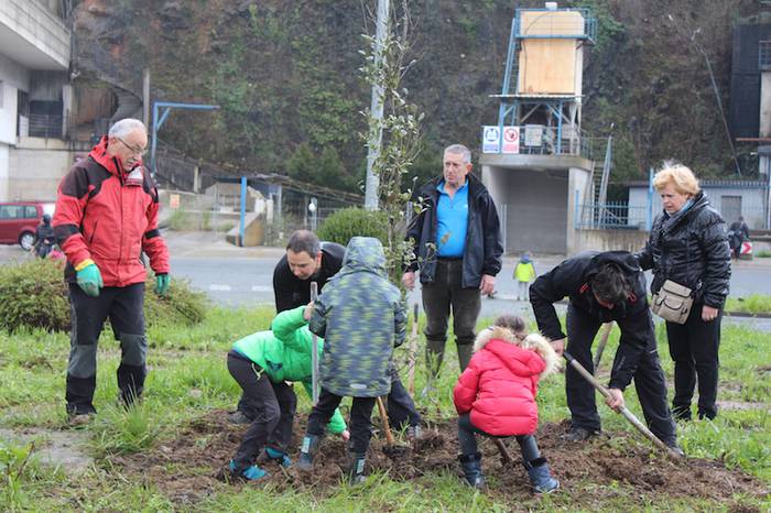 Azpeitiko Zuhaitz Egunean 30 landare inguru landatu dituzte