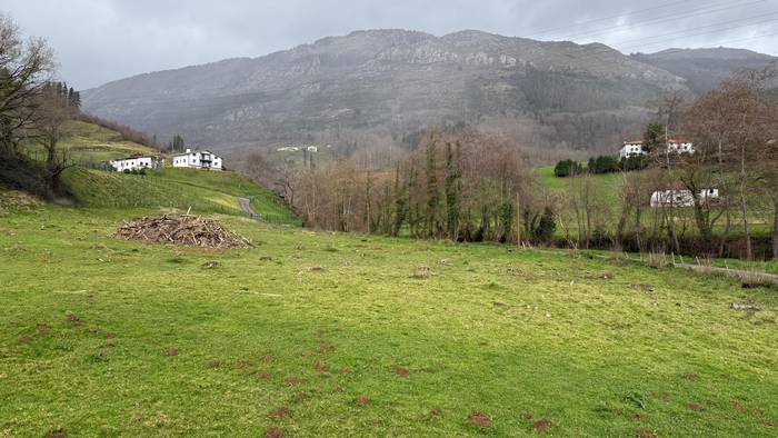 Basoko urak direla eta