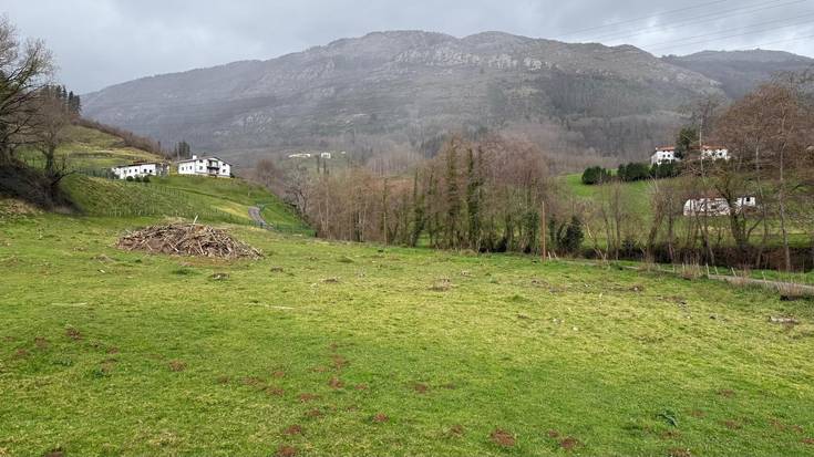 Basoko urak direla eta