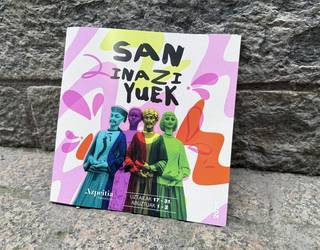 Sei hizkuntzatan kontsulta daiteke santioetako eta saninazioetako programa