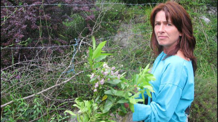 Inguratzen gaituzten botika naturalak