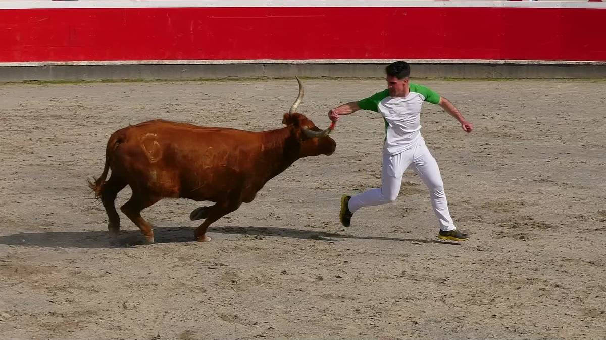 Estarriaga eta Teixeira nagusi izan dira aurten ere Errekortarien Uztai Txapelketan