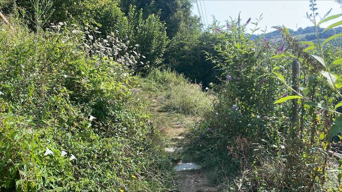 Madalenako berdegunea, sasiak, belar luzeak eta zikinak hartuta
