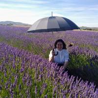 Hitzaldia: 'Sendabelarrek dakitena: ezagutu, bildu eta erabili'