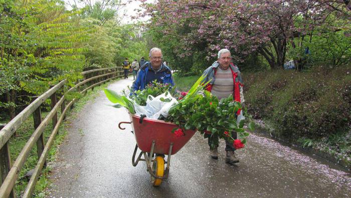 Apirilaren 27 eta 28an izango da Aiako Landare Berezien 17. Azoka