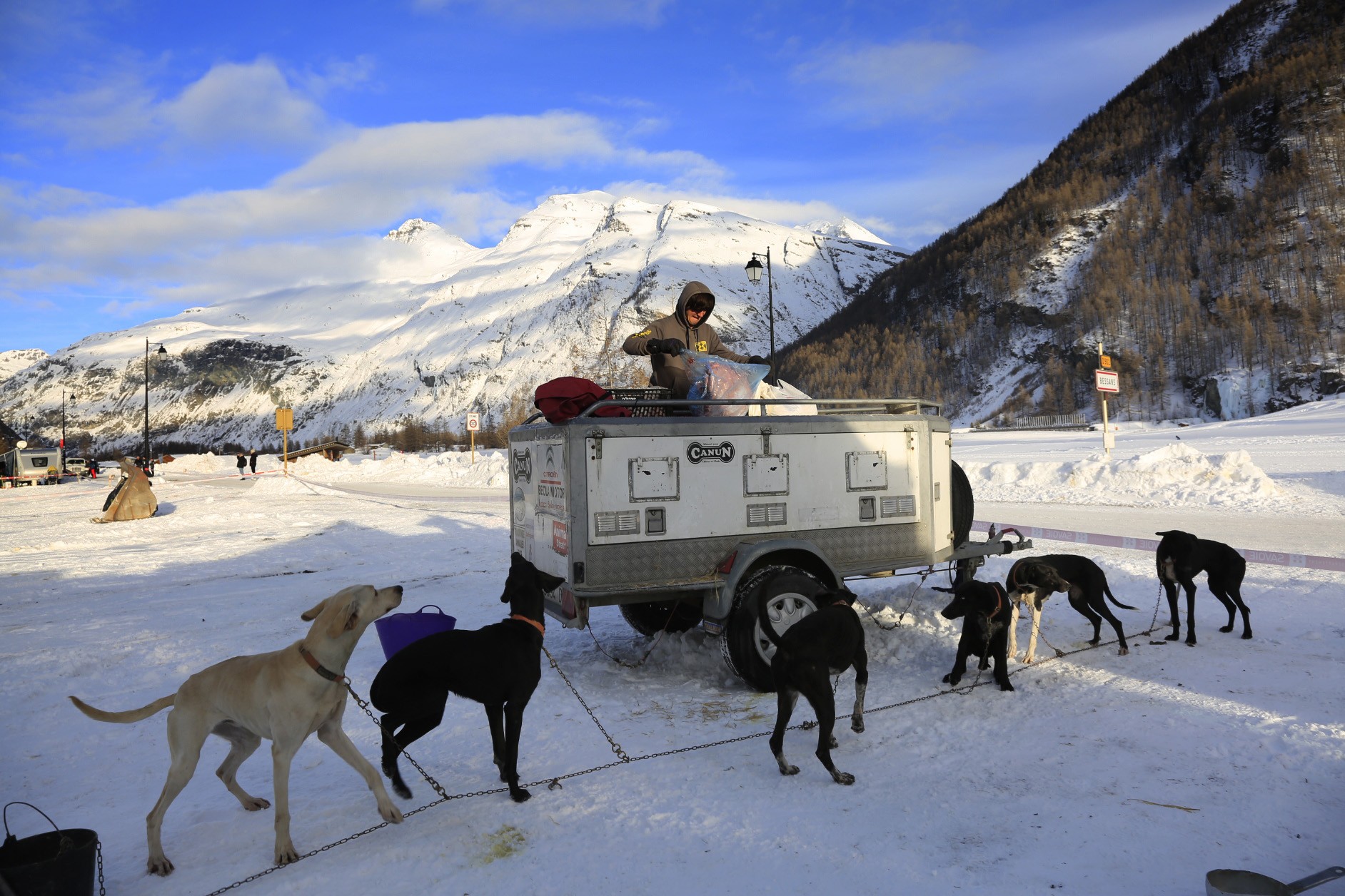 Kimetz Etxabe, munduko mushing txapelketan