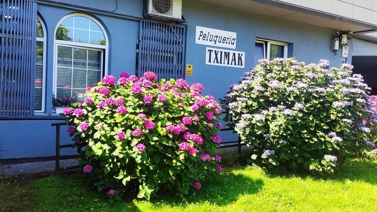 Eskualdaketa, Tximak ile apaindegian