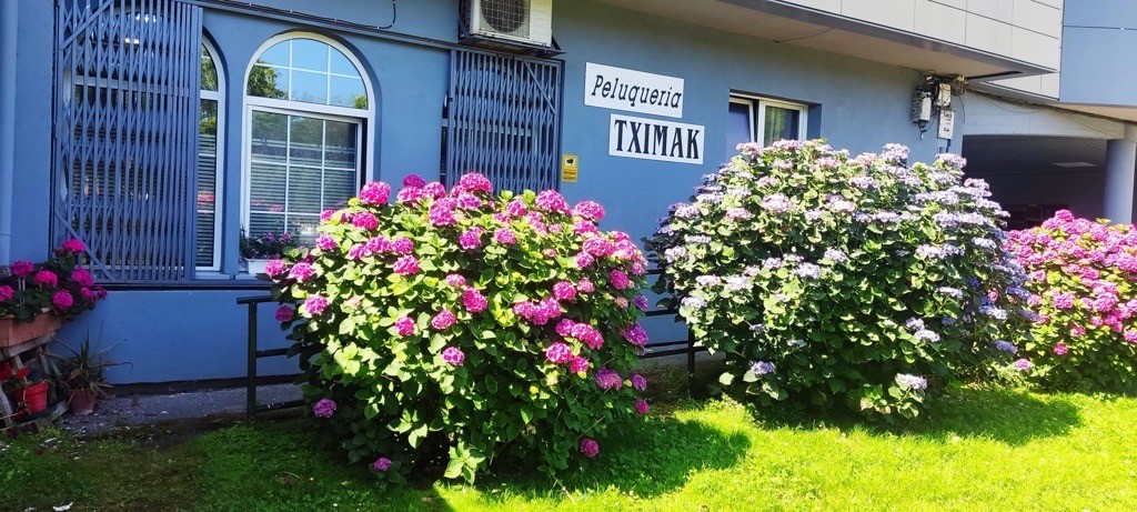 Eskualdaketa, Tximak ile apaindegian