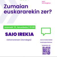 Zumaian euskararekin zer? Saio irekia