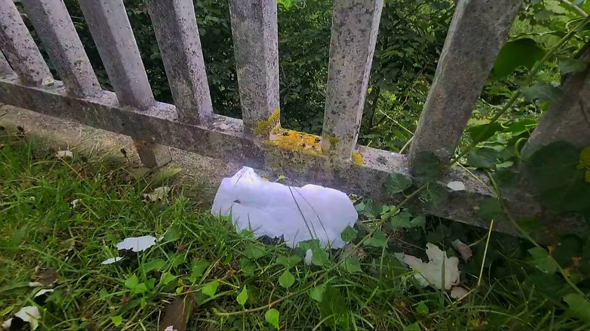 Ibaia garbitzeko eta saretak jartzeko lanak foru laguntzen bidez finantzatzeko proposamena aurkeztu du Eguzkik