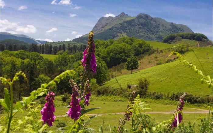 Mendian korrika taldeak ere irteera egingo du datorren asteburuan