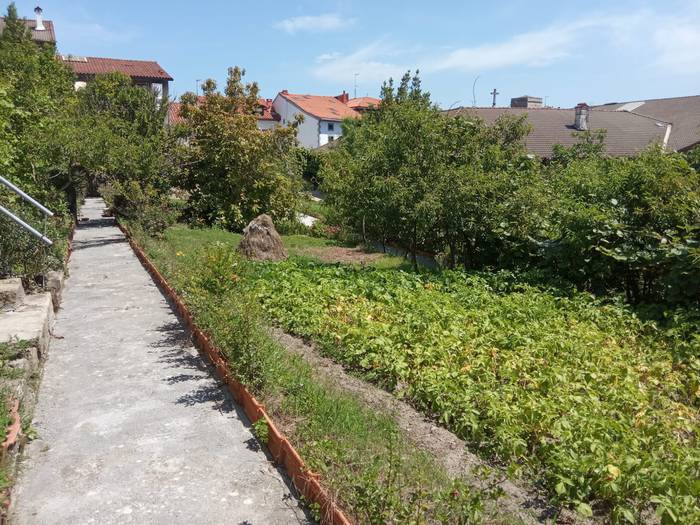 Hilabete bukaeran irekiko dute Zumaiako komentuko lorategia