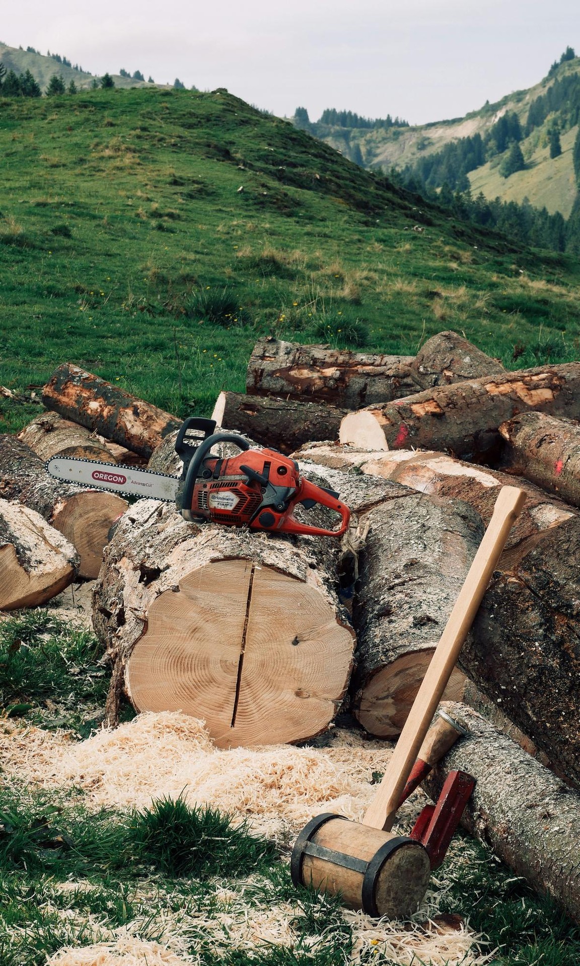 Tradiziotik berritasunera: Euskal Timber