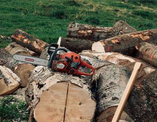 Tradiziotik berritasunera: Euskal Timber